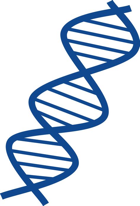 dna clipart|Dna clipart images in SVG, PNG, GIF .